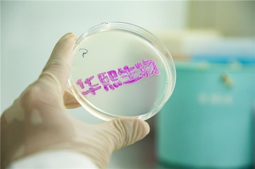 企業(yè)如何助力國家發(fā)展新質生產(chǎn)力 華熙生物 大力發(fā)展合成生物技術