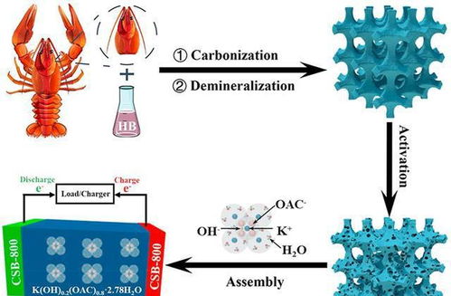 變廢為寶 科學(xué)家利用小龍蝦殼儲(chǔ)存能量