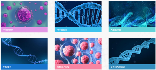 簡道云平臺,武漢瑞興生物科技的另一個(gè)基礎(chǔ)底座!
