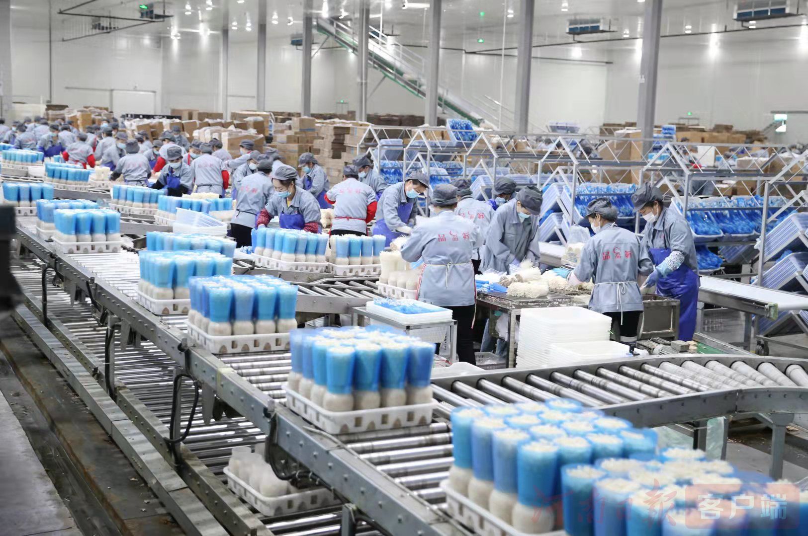 駐馬店:農(nóng)業(yè)加工&ldquo;高精尖&rdquo;挑起發(fā)展&ldquo;金扁擔(dān)&rdquo;